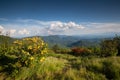 Landscape Appalachian Trail Blue Ridge Azalea Royalty Free Stock Photo