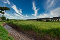 Landscape of The Aqueducts Park, Rome Italy Royalty Free Stock Photo