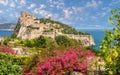 Landscape with Aragonese Castle Royalty Free Stock Photo