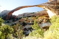 Landscape Arch, Arches National Park, Utah, USA Royalty Free Stock Photo