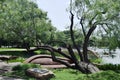 Landscape Architecture at Fair Park