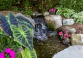 Landscape architecture with lush green foliage pink flowers and waterfall Royalty Free Stock Photo