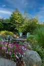 Landscape architecture with pink flowers and ornamental grasses for summer garden with water feature Royalty Free Stock Photo