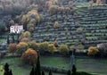 landscape of Arezzo countryside with the traditional terracing