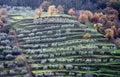 Landscape of Arezzo countryside with the traditional terracing