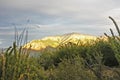 Landscape in Argentinian Andes during sunset Royalty Free Stock Photo