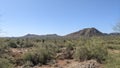 Landscape of the Arizona Sonoran desert with cactus and mountains in the background Royalty Free Stock Photo