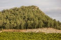 Landscape around Argelita in Castellon Royalty Free Stock Photo