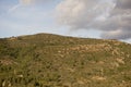 Landscape around Argelita in Castellon Royalty Free Stock Photo