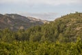 Landscape around Argelita in Castellon Royalty Free Stock Photo