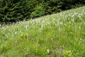 Landscape around Bad Hindelang in Bavaria, Germany