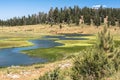 Landscape around Duck Creek, Utah Royalty Free Stock Photo