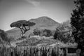 Landscape around the famous mount Vesuvius near Pompeii, Southern Italy