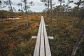 The Landscape Around The Great Bog Trail of Kemeri National Park, Latvia