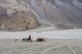 Landscape around Hunder Sand dunes in Nubra Valley, Ladakh, India