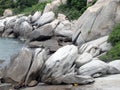 Landscape around Khao Takiap beach