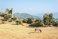 Landscape around Lake Bafa in Turkey