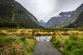 Monkey Creek, New Zealand Royalty Free Stock Photo