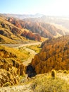 Landscape around Quebrada de Palala Valley with eroded spiky rock formations, El Sillar pass near Tupiza, Bolivia, South