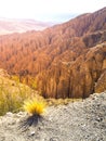 Landscape around Quebrada de Palala Valley with eroded spiky rock formations, El Sillar pass near Tupiza, Bolivia, South