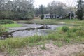 Landscape Around A Swamp Pond In Tampa Florida