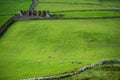 Landscape around Torr head, Northern Ireland Royalty Free Stock Photo