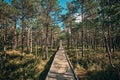 The Landscape around Viru bog, Lahemaa National Park, Estonia Royalty Free Stock Photo