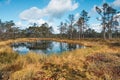 The Landscape around Viru bog, Lahemaa National Park, Estonia Royalty Free Stock Photo