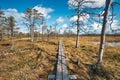 The Landscape around Viru bog, Lahemaa National Park, Estonia Royalty Free Stock Photo