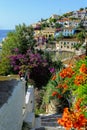 Landscape with Assos village on Kefalonia islands, Greece