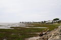 Landscape atlantic carrelet fishing pontoon in Saint-Palais-sur-Mer