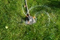 Landscape automatic garden watering system with different rotating sprinklers installed on turf. Landscape design with