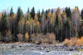 Landscape in autumn