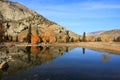 Landscape in autumn