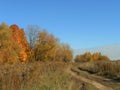 Road in the field in the autumn with colorful trees.