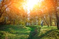 Landscape with autumn forest upon green grassland hills. View on the man hiker from afar. Royalty Free Stock Photo