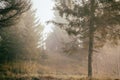 Landscape with an autumn forest and a house in the fog of the Carpathians, Ukraine, Europe