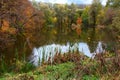 Landscape of autumn forest lake with blue sky reflection in water Royalty Free Stock Photo