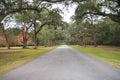 Landscape autumn spanish moss