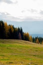 landscape autumn in the mountains colored coniferous forest