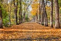 Landscape in autumn park Royalty Free Stock Photo