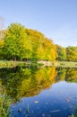 Landscape with autumn park in the sunny day. Yellow and green trees are displayed with reflection on the lake. Royalty Free Stock Photo