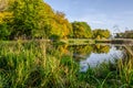 Landscape with autumn park in the sunny day. Yellow and green trees are displayed with reflection on the lake. Royalty Free Stock Photo