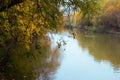 Landscape of the autumn river in the country