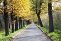 Landscape autumn road park forest Royalty Free Stock Photo