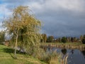 Landscape of autumn scenery with big lake, trees and vegetation in yellow and warm toned colors with grey sky above Royalty Free Stock Photo