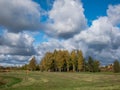 Landscape of autumn scenery with trees with green and yellow leaves with blue sky and clouds above Royalty Free Stock Photo