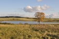 Landscape. Autumn. Tree by the lake. Wisconsin. USA. Royalty Free Stock Photo