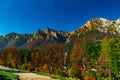 Landscape of autumn trees under Prahova valley Bucegi mountains, Carpathians, Romania Royalty Free Stock Photo