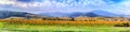 Landscape with autumn vineyards of wine route. France, Alsace Royalty Free Stock Photo